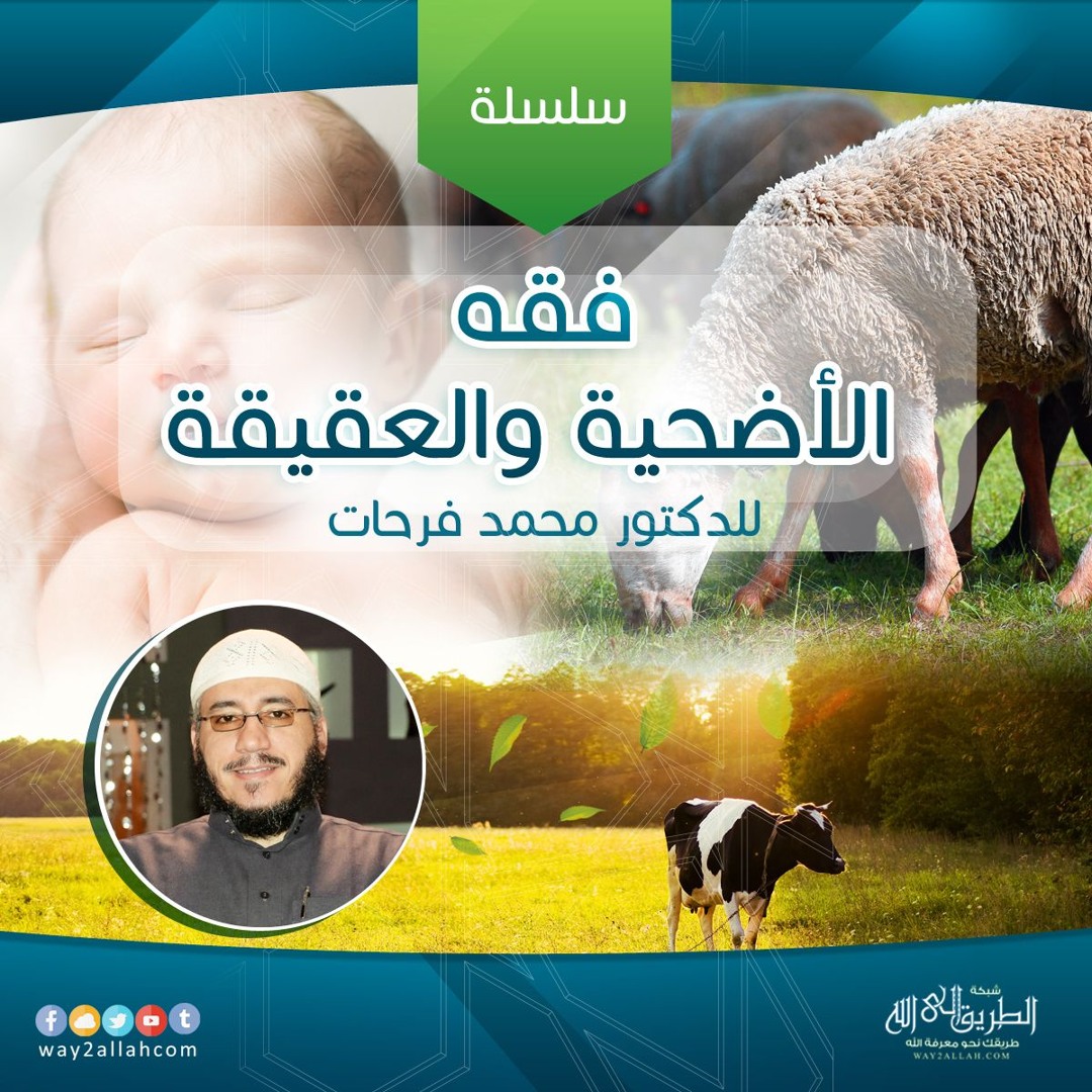 كيف تقسم الأضحية | د.محمد فرحات