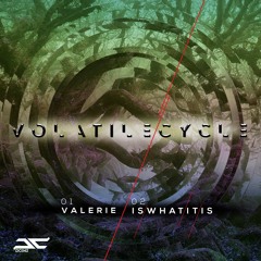 Volatile Cycle & Barbarix [Remixes Pt.1] DC041 / Volatile Cycle [EP] DC042