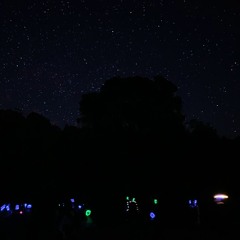 Ecstatic Dance Campout 2019 - Night vibes