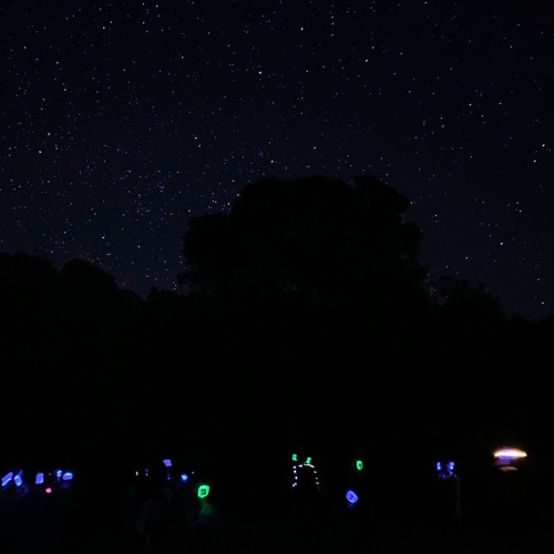 Ecstatic Dance Campout 2019 - Night vibes