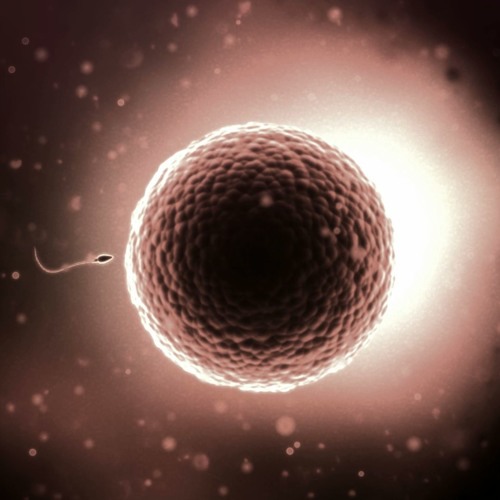 Genetek - Circleoflife