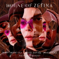 Art of DJing: House of Zetina (Mix by Sasha No Disco)