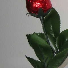 hear you crying [see me flying] (prod. lillostty)