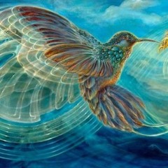 Pajaro Viejo