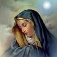 القطعة السابعة عربي