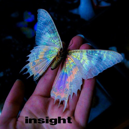 Insight