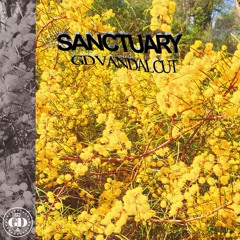 Joji - Sanctuary (GD Vandal Cut)
