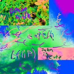 catch [ flip ]