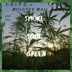 Smoke Some Green FT. Molotov Mall (prod. VH-2)