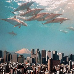 Banzai - Space X (Demo)