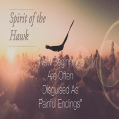 Spirit Of The Hawk