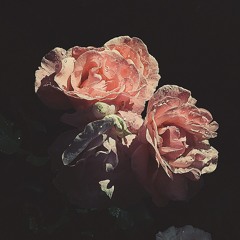 Dilbar's Karma (MadStarBase X BRII FLIP)