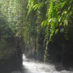 Tanbour Moutzia demo