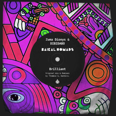 Premiere: Zuma Dionys & DIBIDABO - Brilliant (Dandara Remix) [Baikal Nomads]