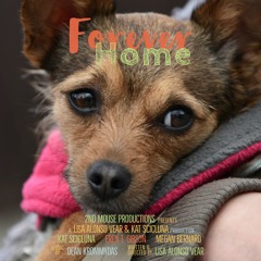 "Sneaking By" - From the "Forever Home Series" - Comedy - Mischievous - Orchestral - Jazzy