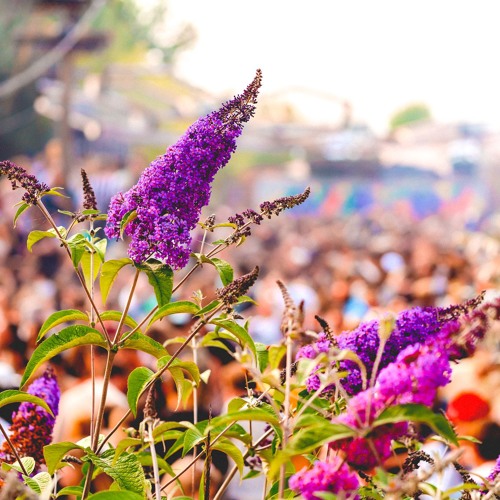 Tunnelvisions - Wildeburg 2019