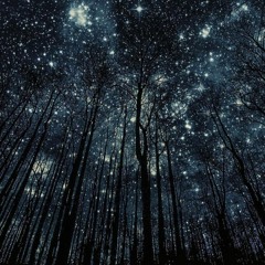 made of stars - Feat. SinergyInMotion