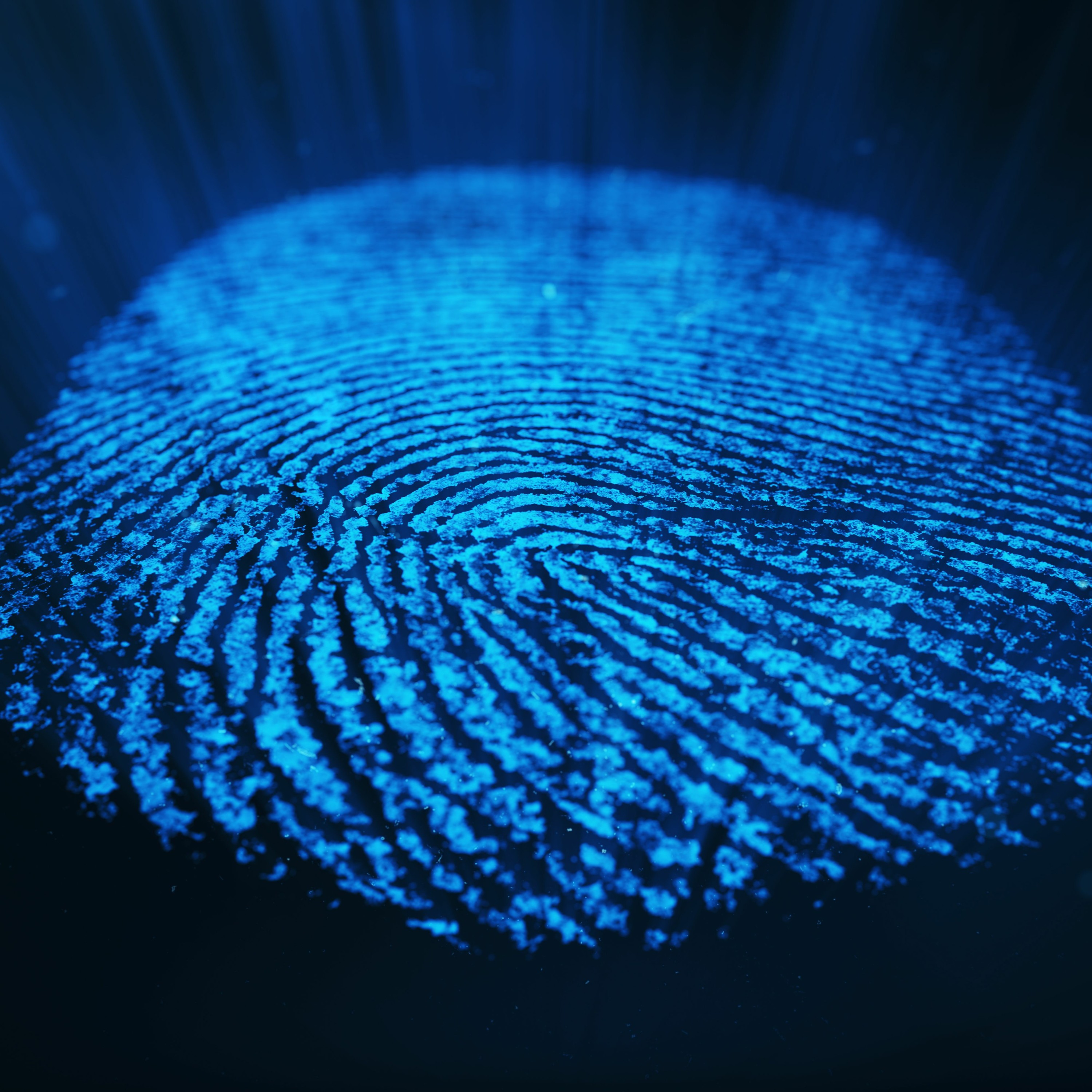 Enterprise Tuesday: Creating value while protecting IP episode artwork