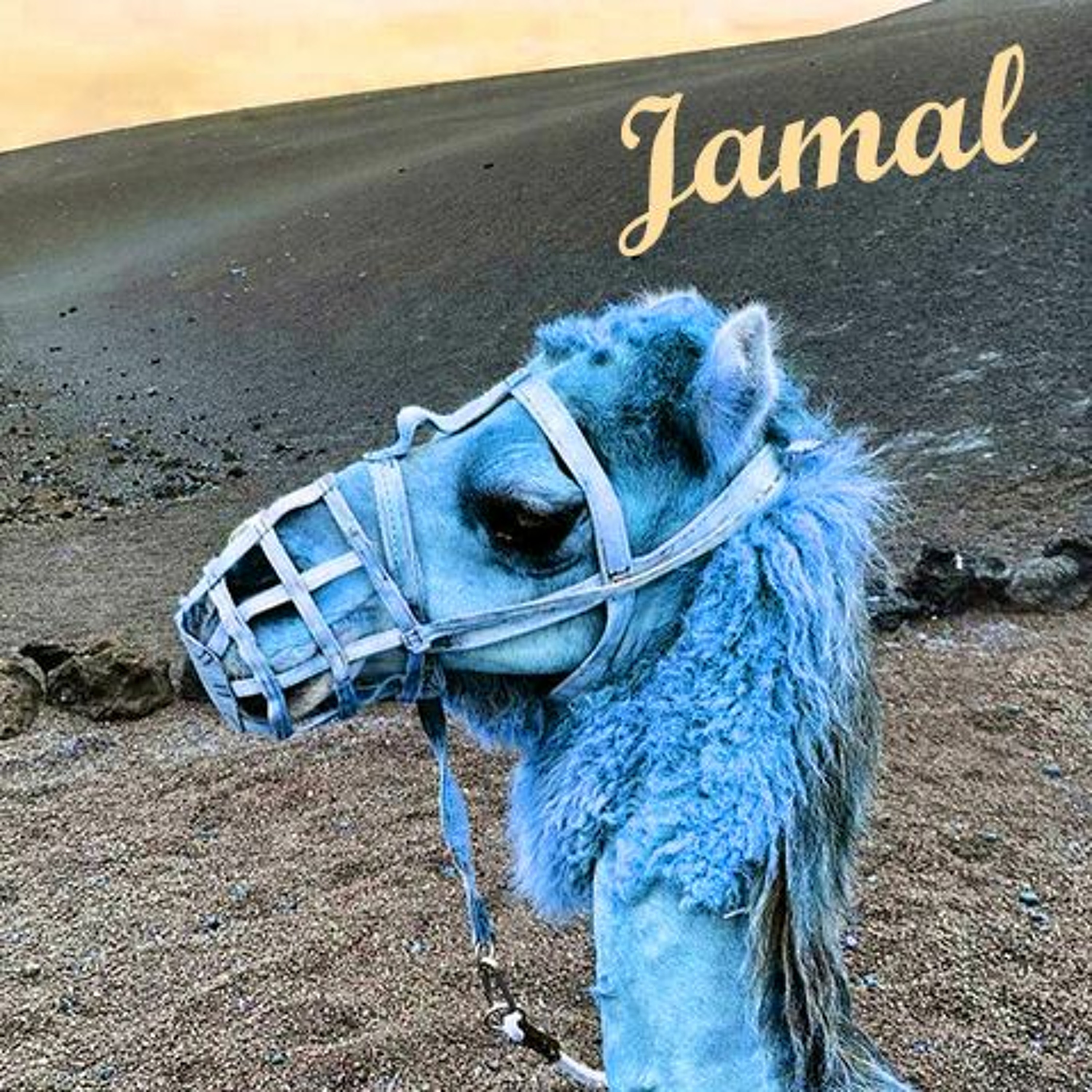 Jamal episode artwork