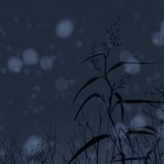 Citia - Lonely Winter