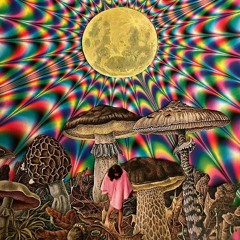 Mardi Gras progressive mix - Dayzed Gecko