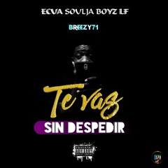 Te vas sin despedir_( Breezy71 )