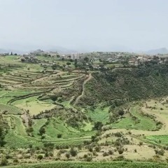 قصيدة الشاعر ابو هيثم فارس الشوحطي مهداه الى اغرب بني عواض ولأهلها الكرام