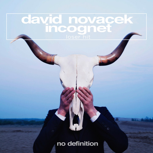 David Novacek & Incognet - Loser Hit