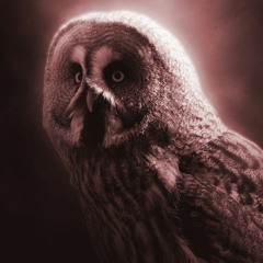Night Owl - Feat. Meezerpocalypse - WHOOOOO!!!!!!!! Open Collab