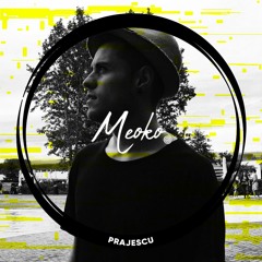 MEOKO Podcast Series | Prājescu