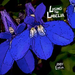 Losing The Lobelia