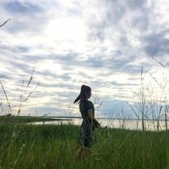 นักเขียนในตู้ปลา