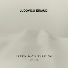 Ludovico Einaudi - Gravity / Felt piano cover