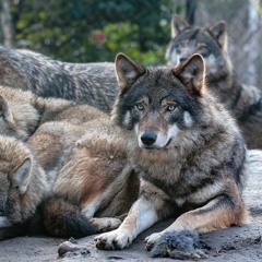 SSD16 part 1    01.08.19