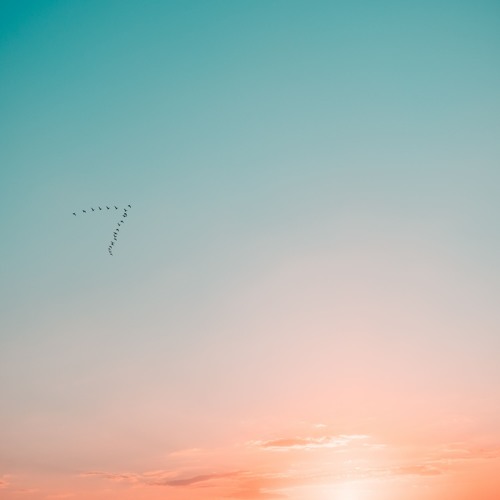 Something