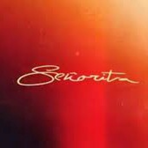 Stream Camila Cabello ft. Shawn Mendes - SENORITA (WLDN x ZERO remix cover)  by WLDN | Listen online for free on SoundCloud