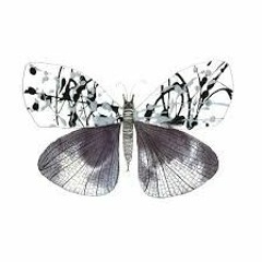 - Butterfly - N3XT x Riptidebeats
