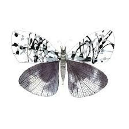 - Butterfly - N3XT x Riptidebeats