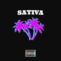 Sativa Fathollywood x Lilbridges x Bally #ymwmelly