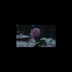 margiela - z tobą
