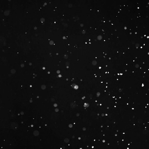 Peter Jaczewski - A Constellation Of Quantums