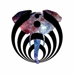 Road To Bass Center 2019