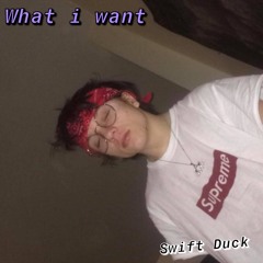 WHAT I WANT [J’NAH MEAN]