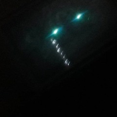 I DO NOT WANT TO SEE YOU SMILE