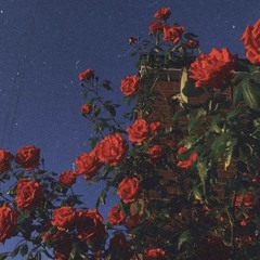 Can’t Get Enough [Prod. By Flowers in Narnia]