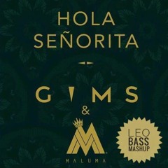 GIMS & Maluma x Buskilaz - Hola Señorita (Maria) (Leo Bass Mashup 2019)