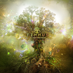 Timmus- Ancient Storyteller [Album Sampler 2019]