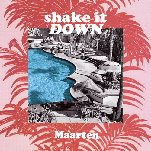 Maarten - shake it Down