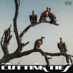 Cutting Ties (Prod. RO$E GOLD)