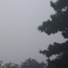 balance w/afterglow (prod. thorn)